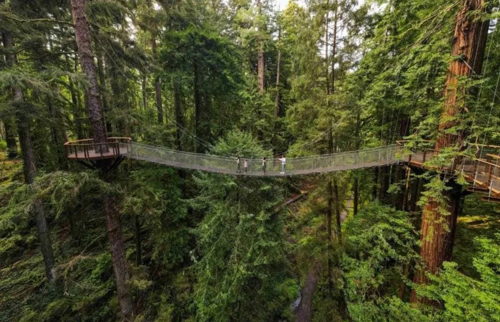 Redwood Sky Walk at Sequoia Park Zoo in Eureka, California