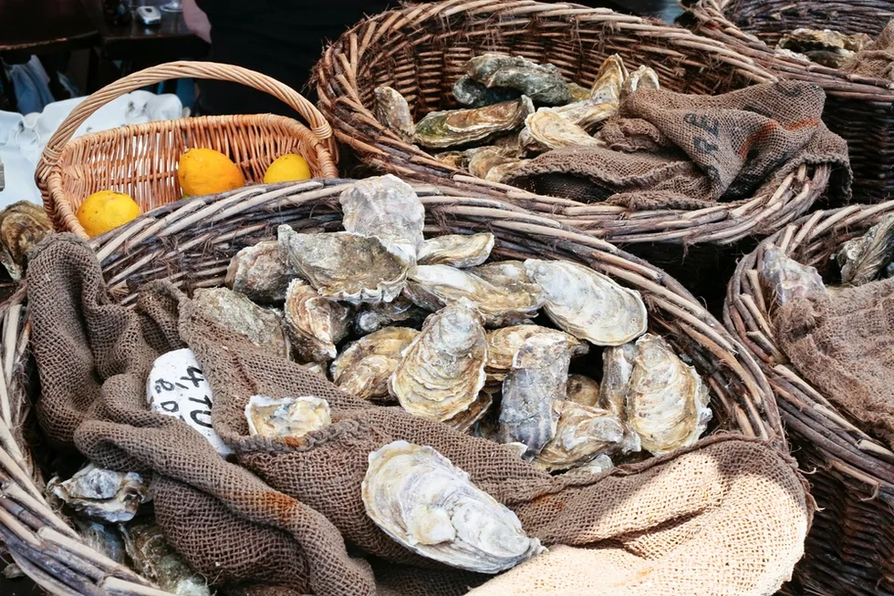 Cancale Brittany France Oysters