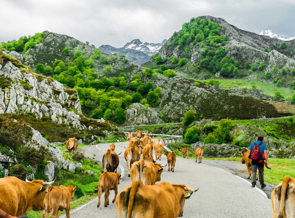 Cangas de Onís, Los Picos de Europa, Spain