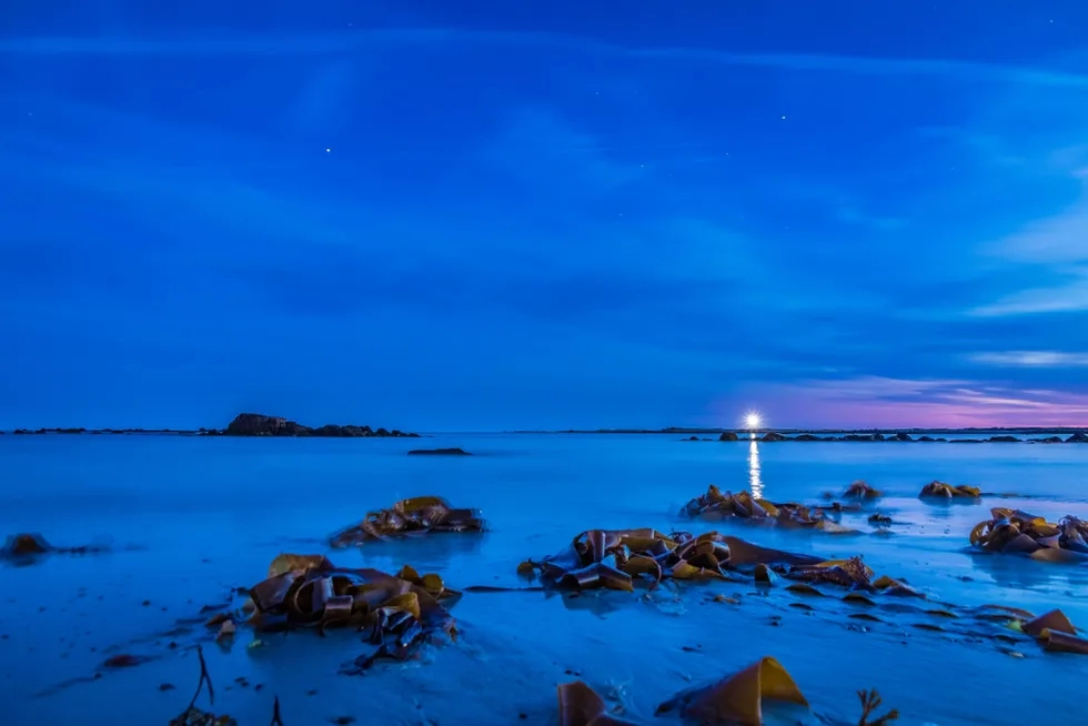 Cape Sable Light, Nova Scotia