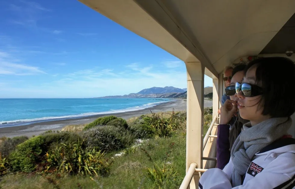 Passengers on KiwiRail's Coastal Pacific, watching sea and mountains