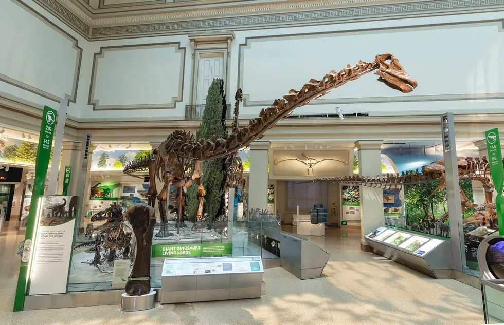 sauropod skeleton, Smithsonian National Museum of Natural History, DC