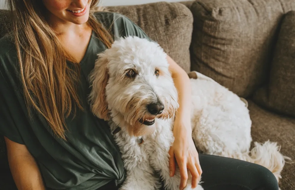 Cuddling with a dog