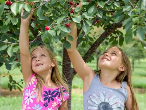 Fun Things to Do with Kids in Door County, Wisconsin