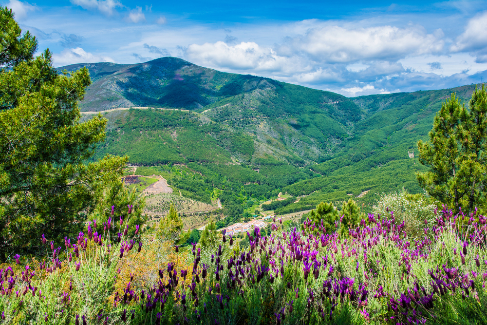 Sierra de Gata, Extremadura, Spain