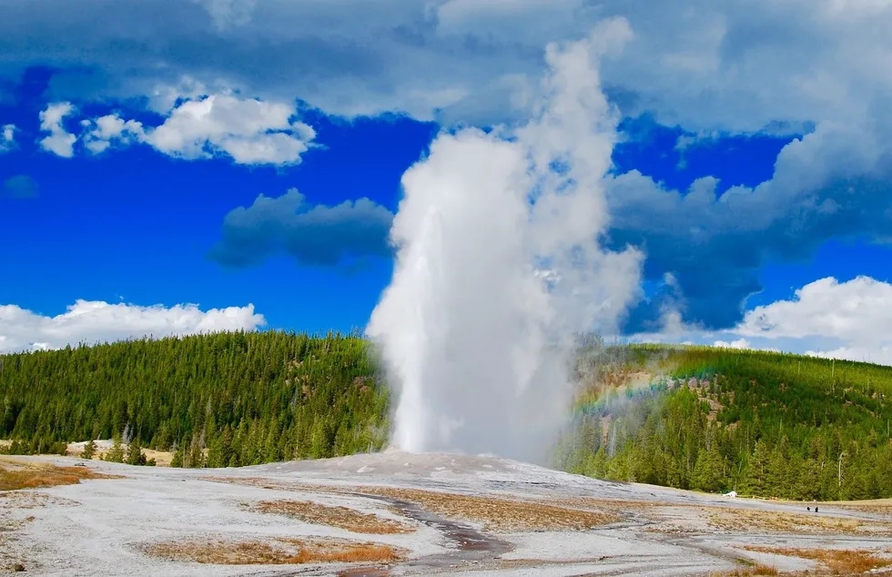 Old Faithful geyser at Yellowstone National Park