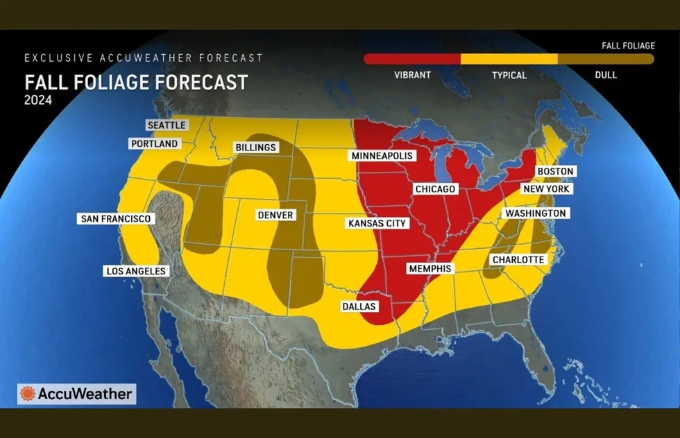Fall foliage forecast map for 2024