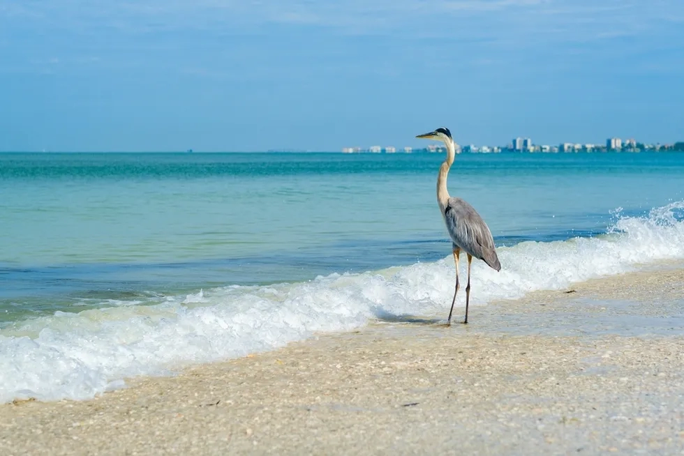 Fort Myers, Beach, Florida, Southwest Florida