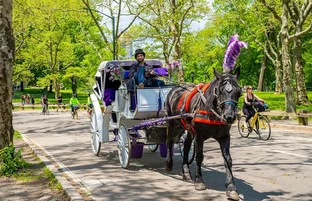 The Most Overrated Experiences in New York City