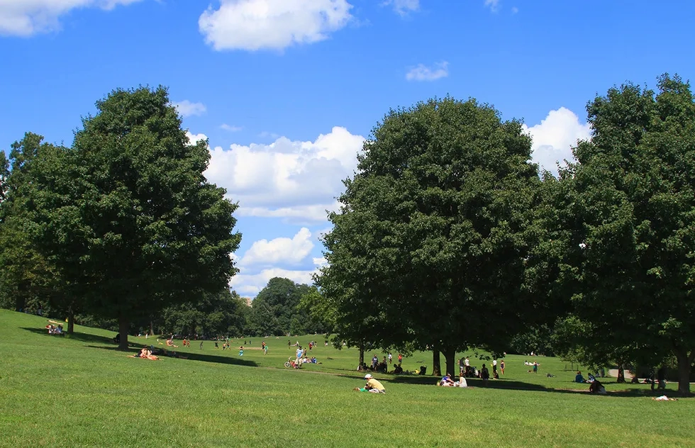 The Best Experiences in the Boroughs in New York City