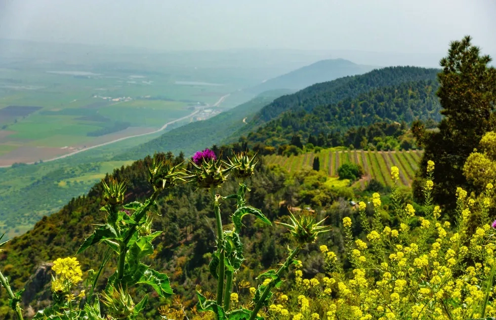 Galilee, Israel