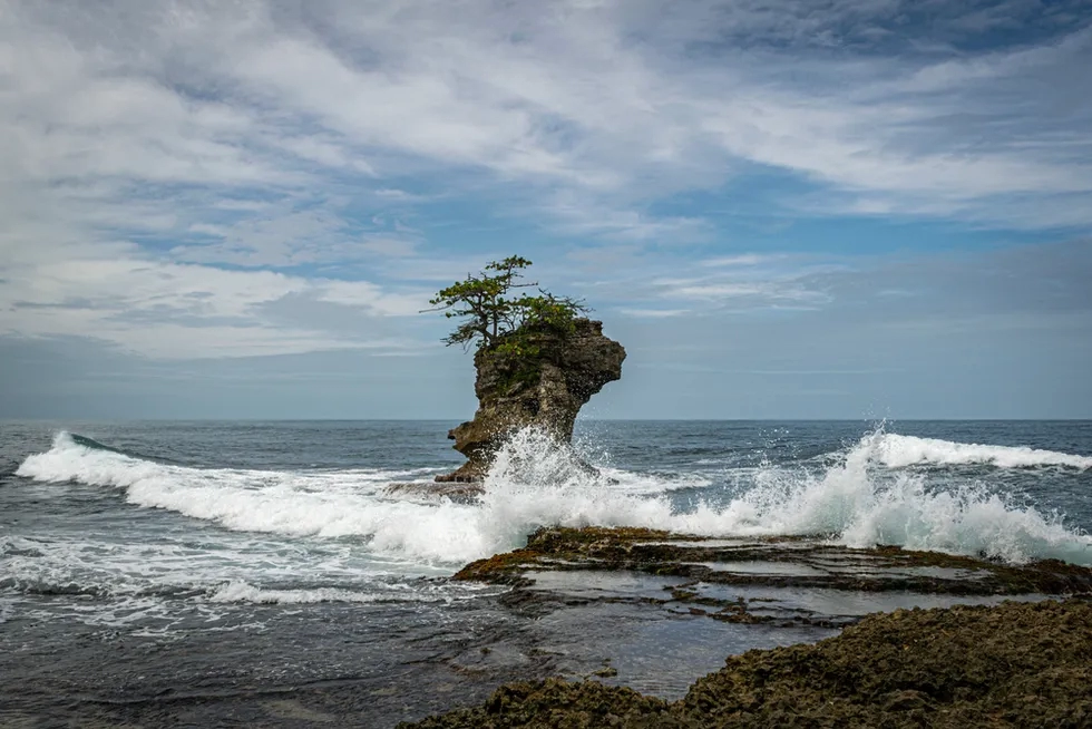 Gandoca Manzanillo Wildlife Refuge, Costa Rica, Caribbean Coast