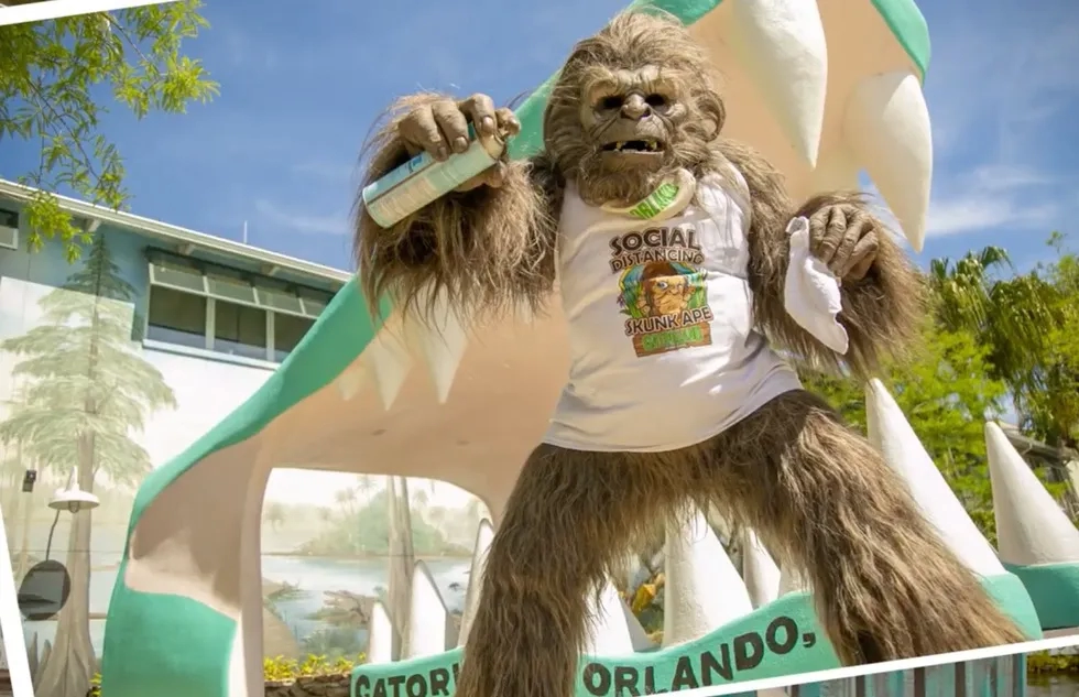 Social Distancing Skunk Ape at Gatorland in Orlando, Florida