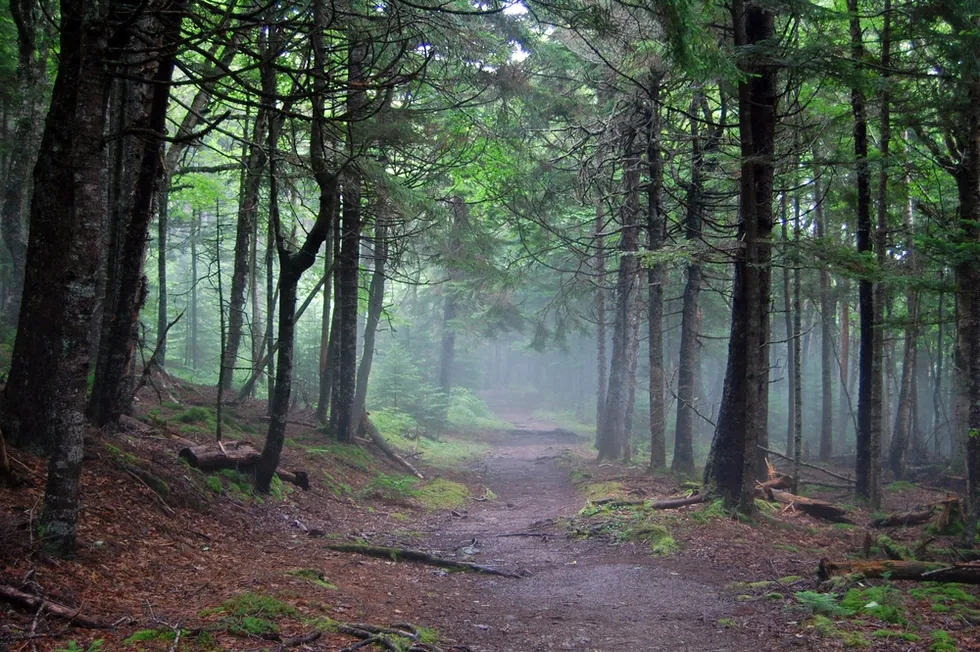 Fundy National Park, New Brunswick, Canada