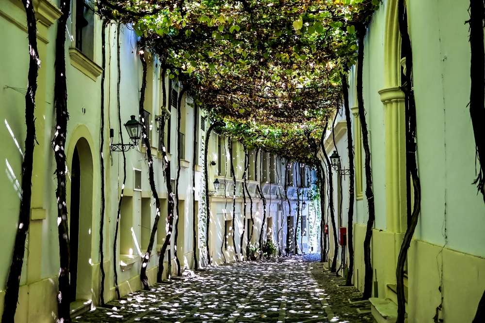 Jerez de la Frontera, Andalucia, Spain
