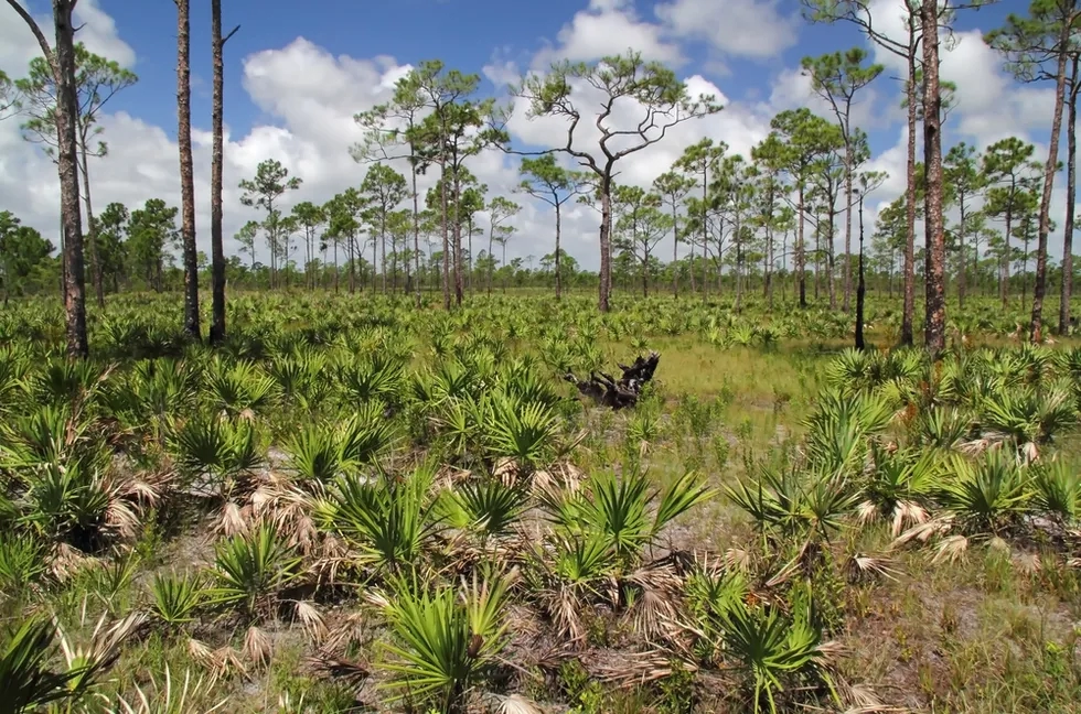 Jonathan Dickinson State Park, Florida