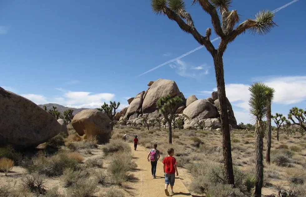 Joshua Tree National Park, California