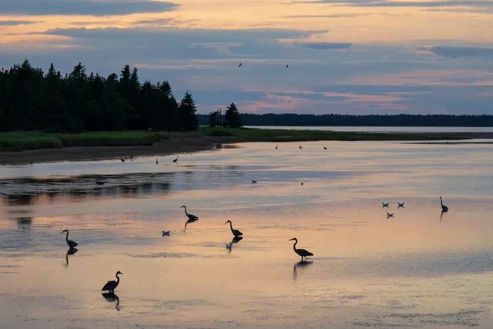 Kouchibouguac National Park, New Brunswick, Canada