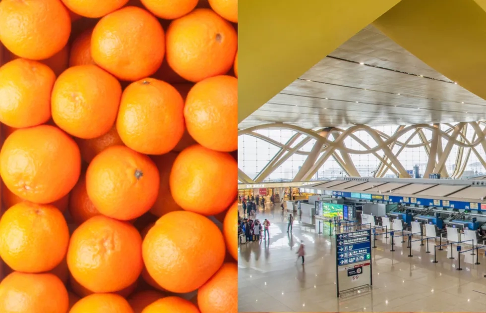 Photo collage of oranges and Kunming Changshui International Airport in China