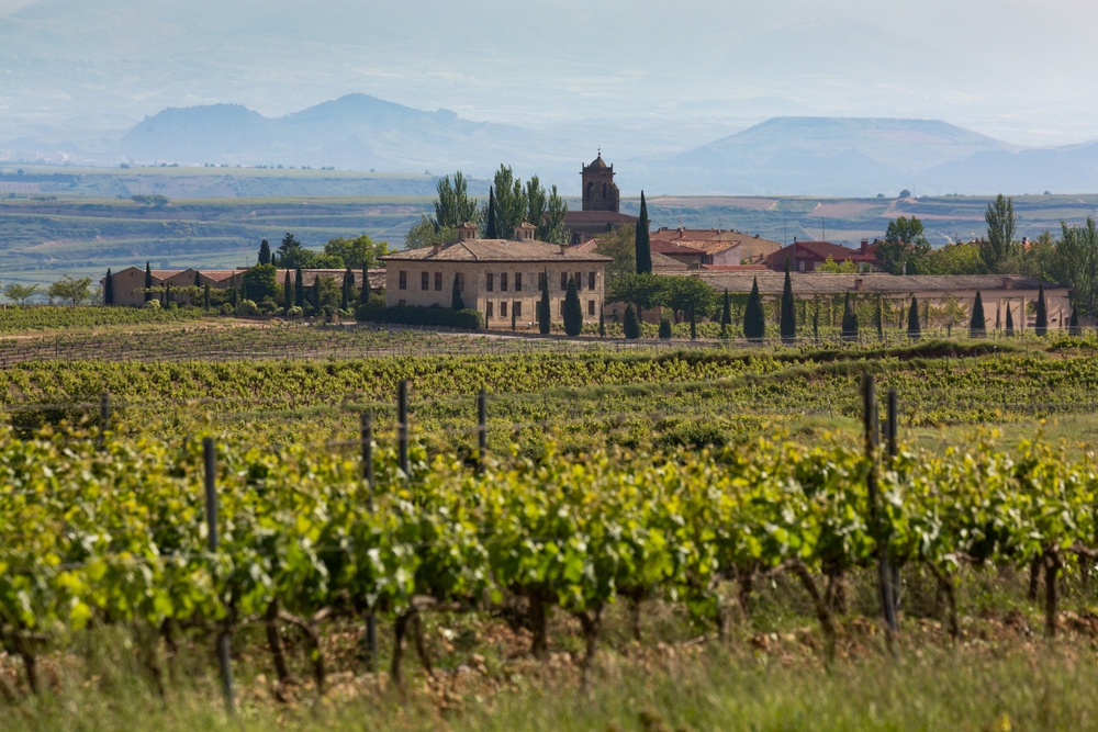 La Rioja, Spain, Vineyard