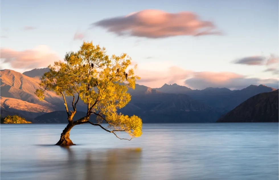 Lake Wanaka, New Zealand, Down Under