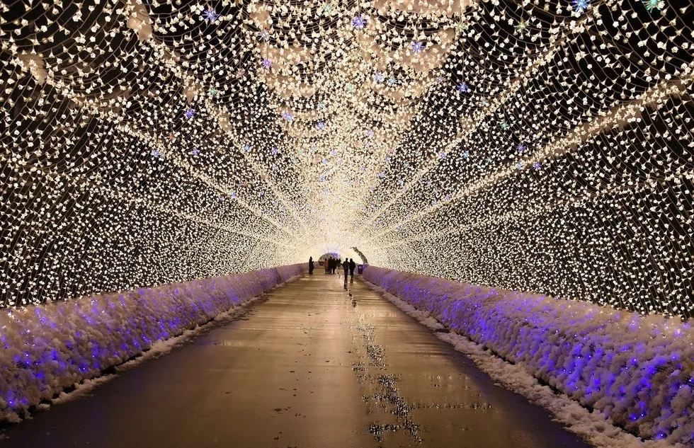 Part of the Nabana No Sato light display at Japan's Nagashima Resort