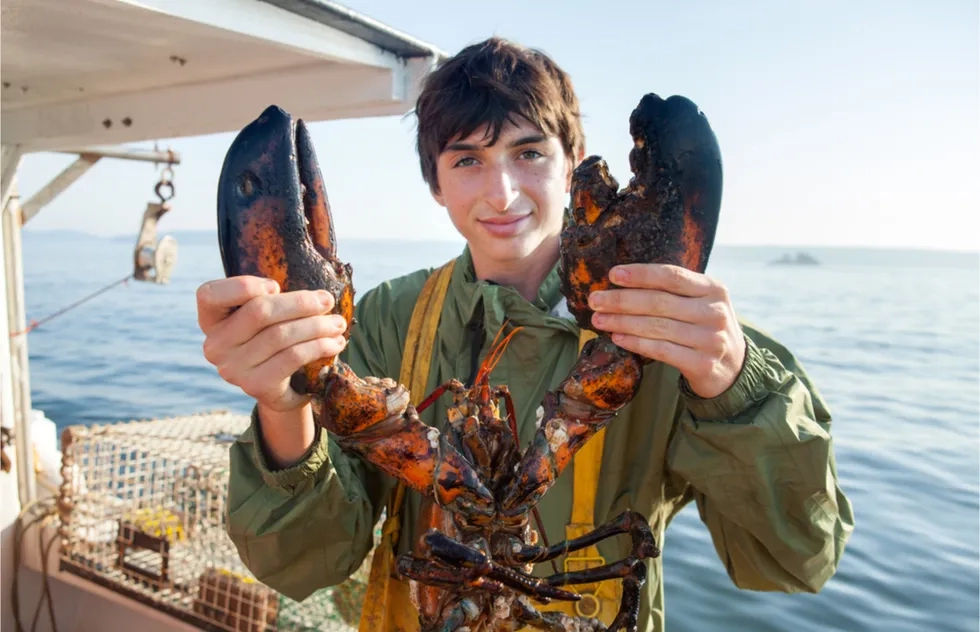 Lobster, Maine, Fisherman