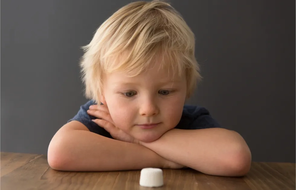 Marshmallow test, marshmallow, young boy