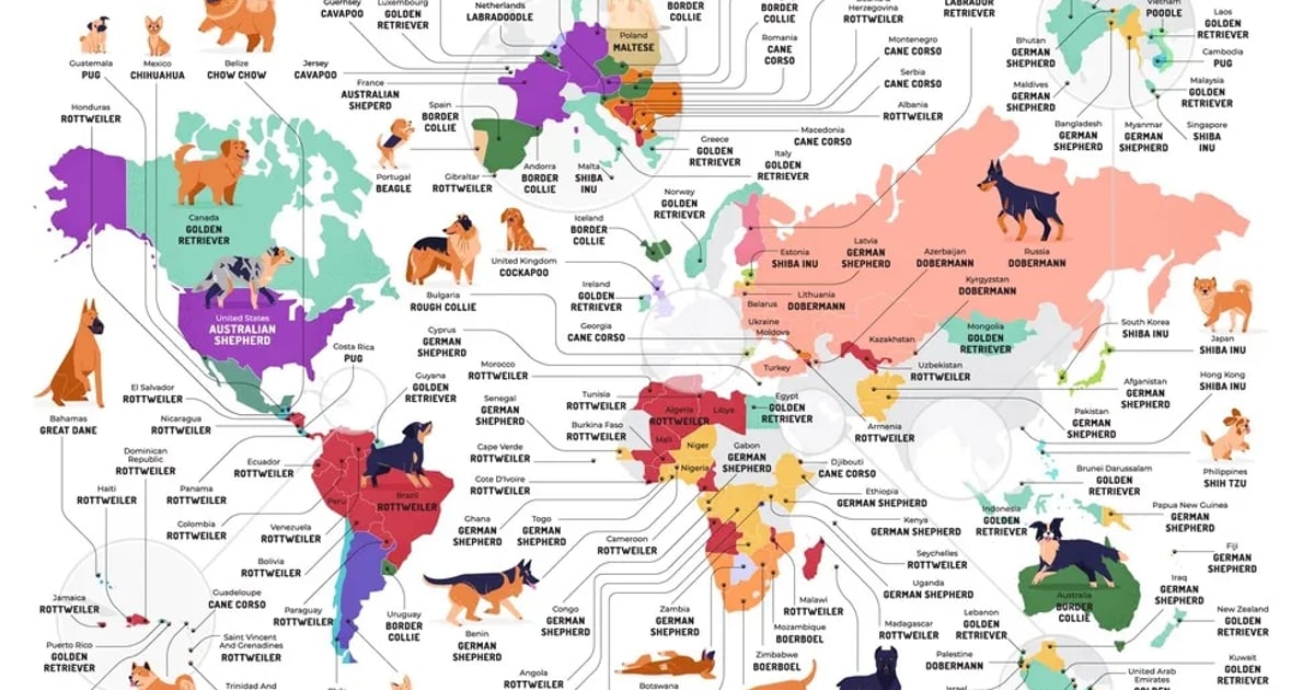 The Most Popular Dog Breeds in the World
