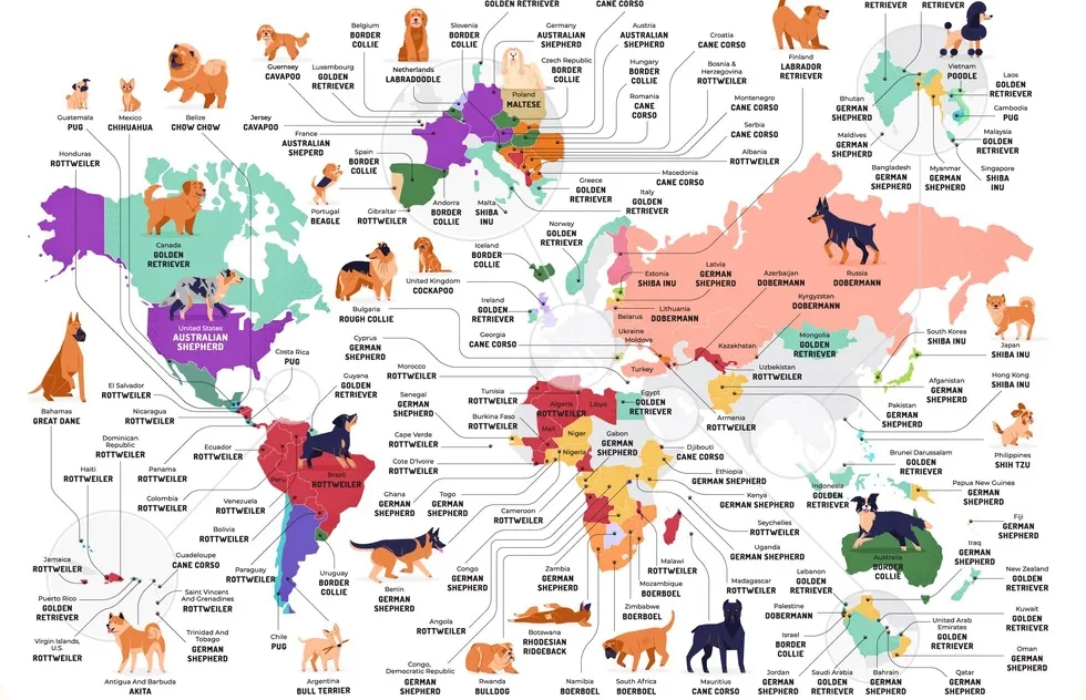 Map, Dog Breeds, Dogs