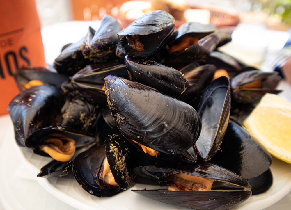 Mussels