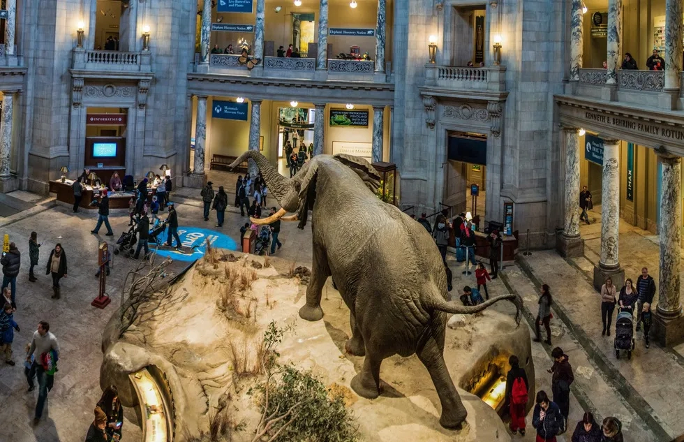 National Museum of Natural History