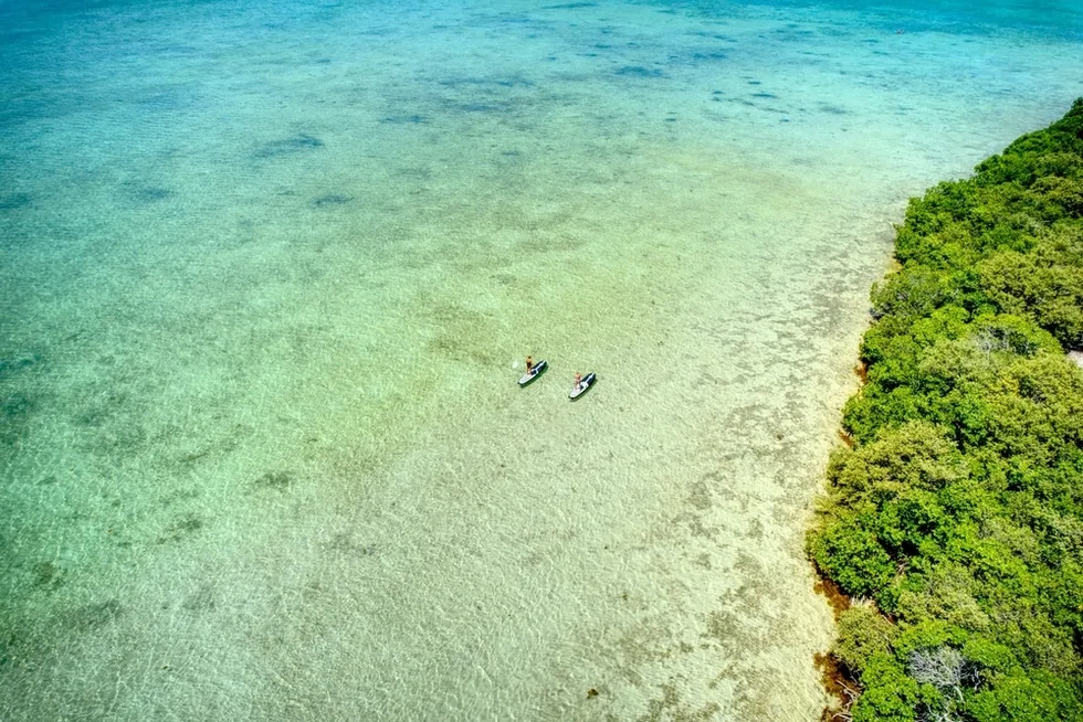 Paddleboarding, Florida Keys, Florida