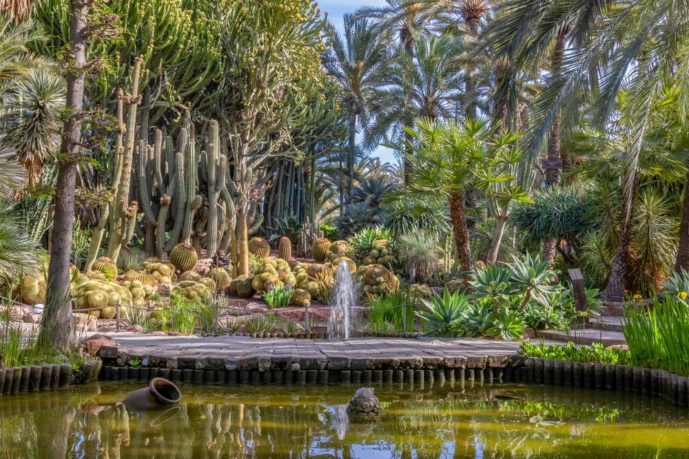 Palmeral of Elche, Elche, Spain