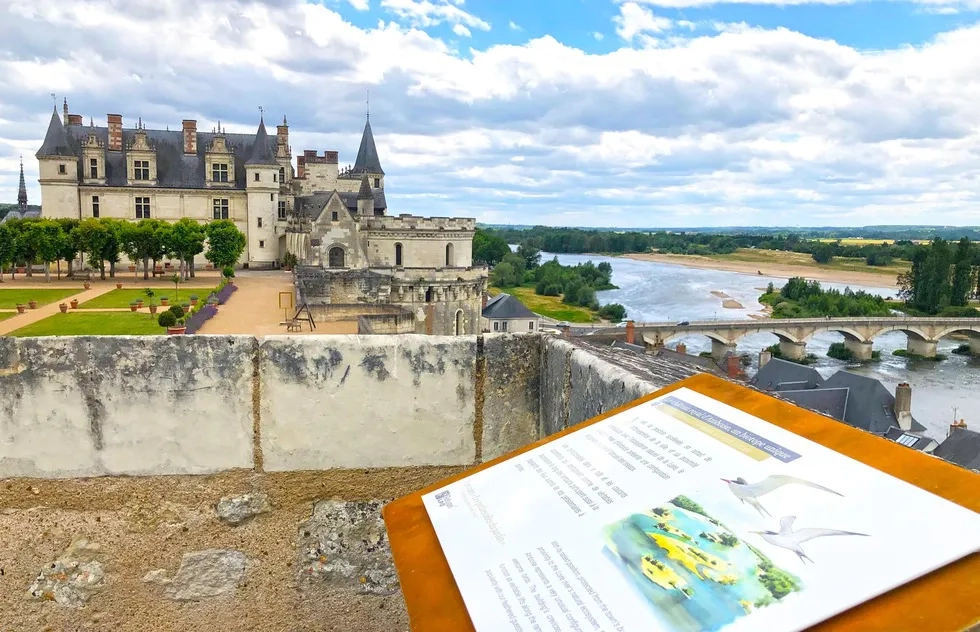 Parcours Jardins, Berthet Chateau d'Amboise, Loire Valley, France, Gardens, Chateau