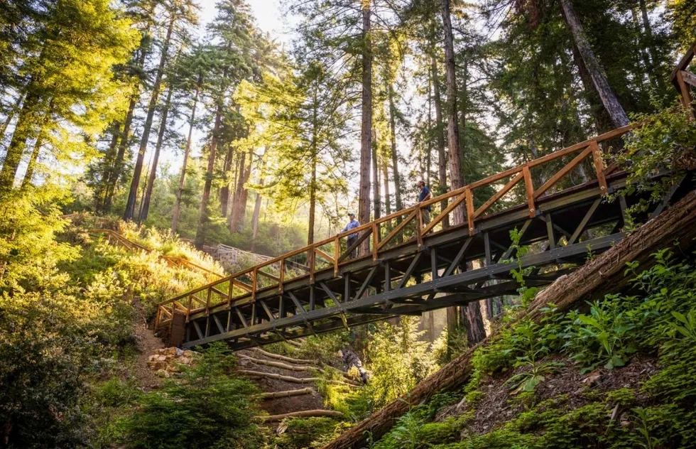 Pfeiffer Falls Trail at Pfeiffer Big Sur State Park in California