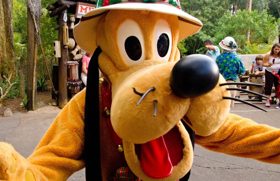 Pluto at Disney's Animal Kingdom in Florida