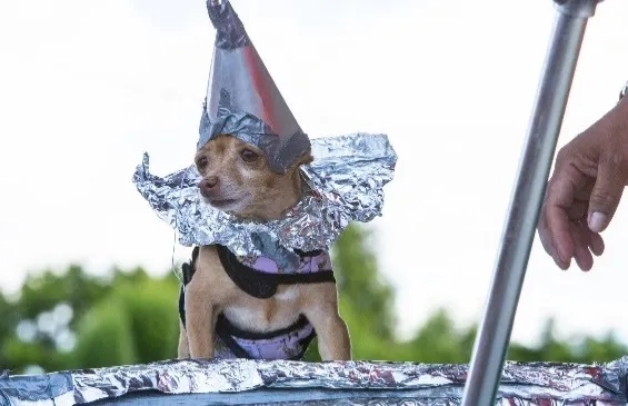 A dog in alien costume at the McMenamins UFO Festival in McMinnville, Oregon
