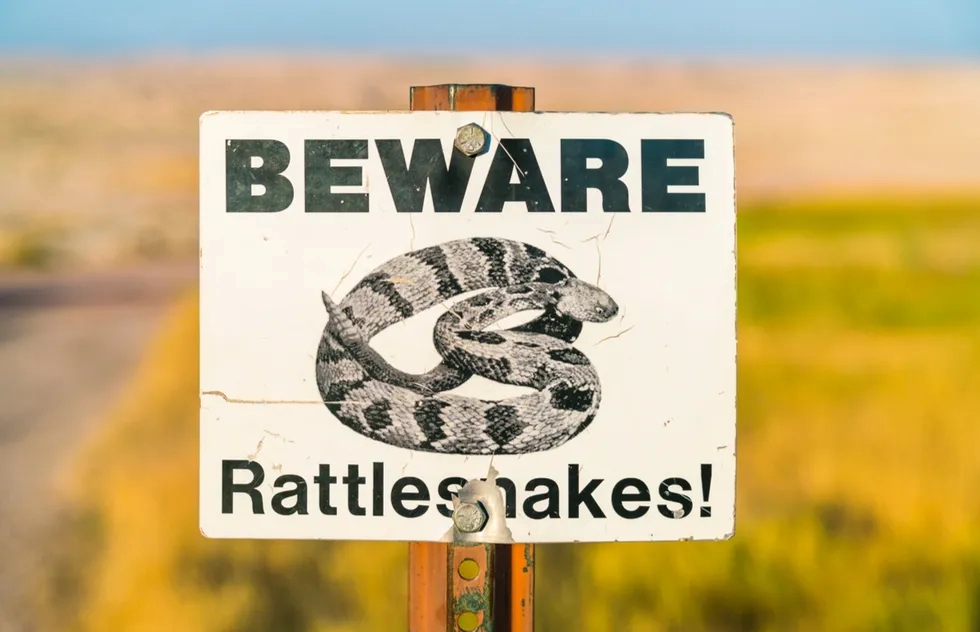 Rattlesnake warning sign