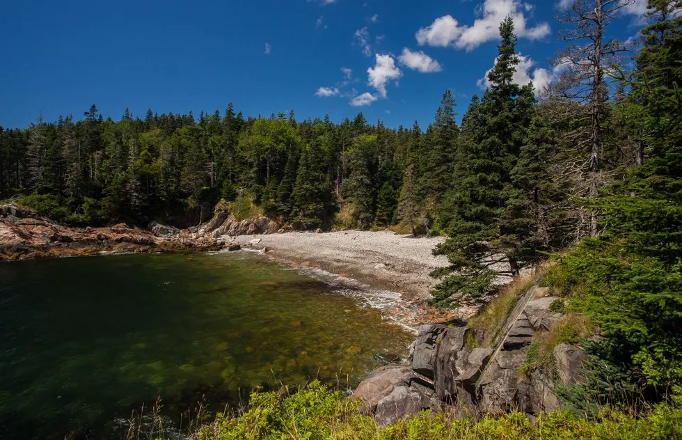 Rocky Beach, Acadia National Park, Maine