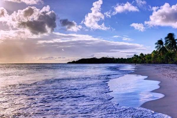 A sunset view of a beach in Martinique.