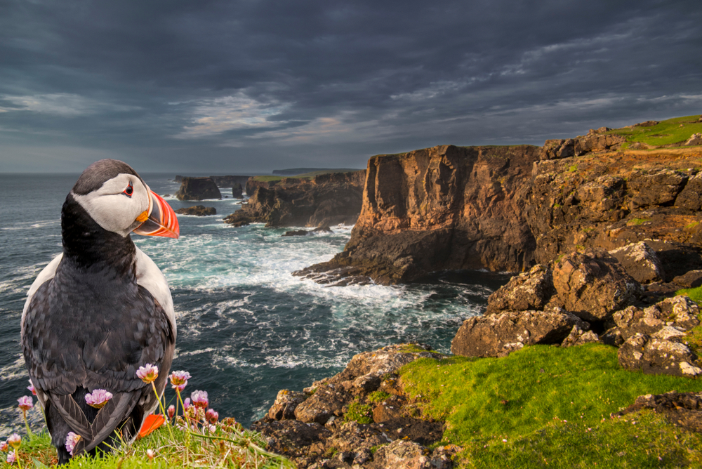 Shetland Islands, Scotland