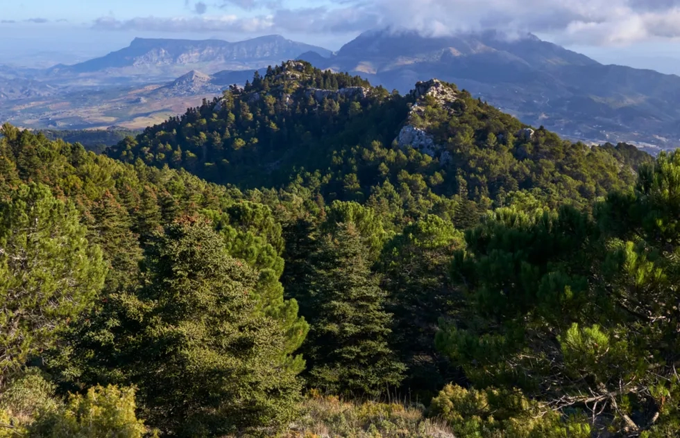 Sierra de las Nieves National Park in Spain