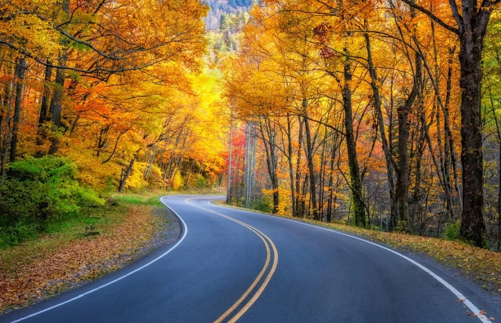 Fall foliage at Great Smoky Mountains National Park