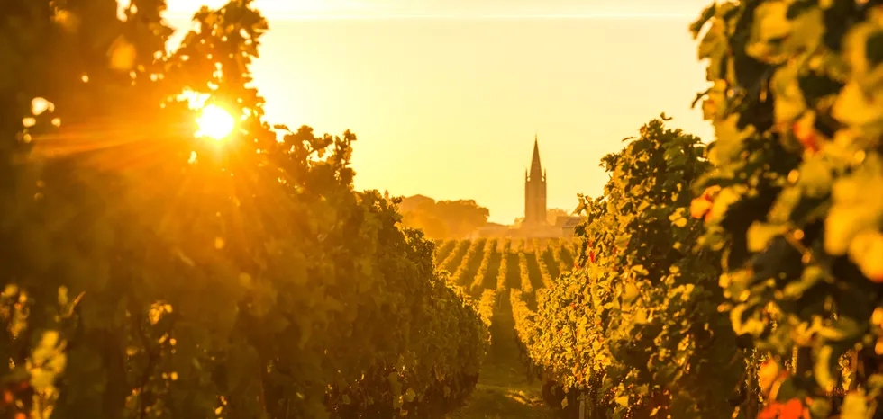 Bordeaux Vineyards, Bordaux, St. Emilion