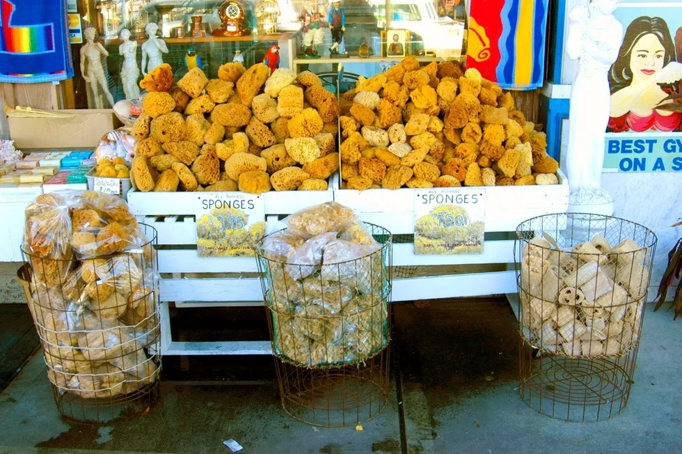 Tarpon Springs, Florida, Greek Community, Sponges