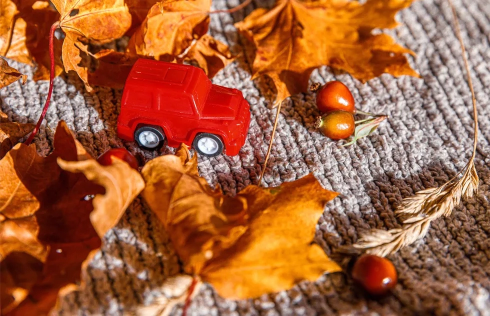 Thanksgiving, Travel, Road Trip