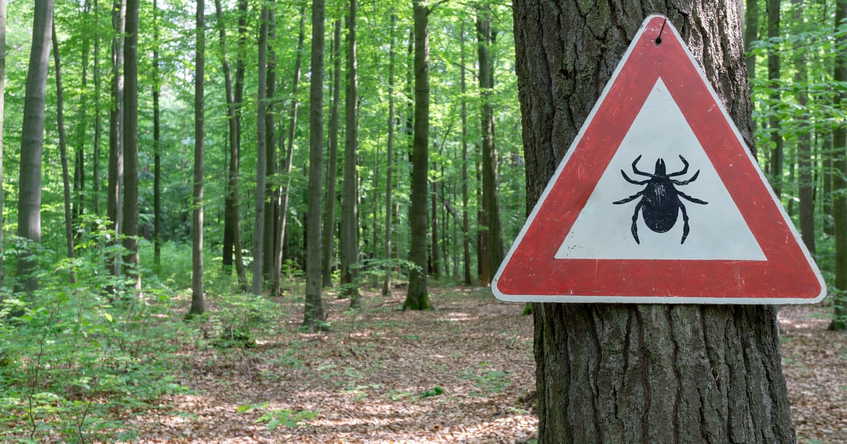 Tick-Borne Diseases Are on the Rise. We Asked an Expert… Tick-Borne Diseases Are on the Rise. We Asked an Expert…