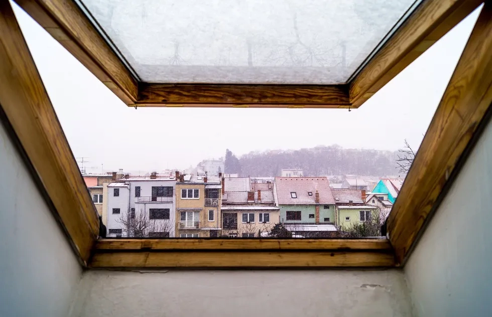 Window view
