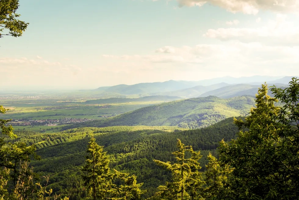 Vosges Mountains, France, Rue des Cretes, Alsace-Lorraine